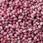 Dry Nambale Beans