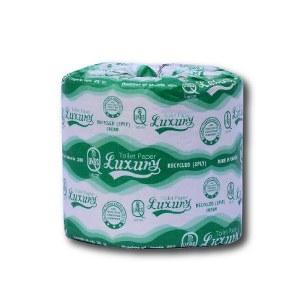 Luxury Toilet Paper Big, Pack of 10 Rolls